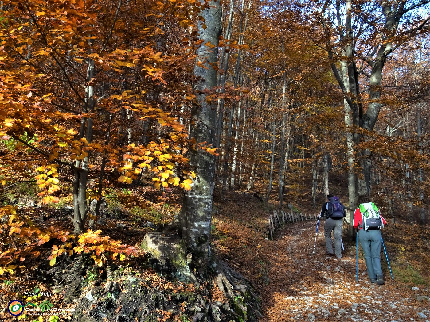 13 La stradetta agrosilvopastorale si restringe protetta a monte da palizzate protettive di legno.JPG